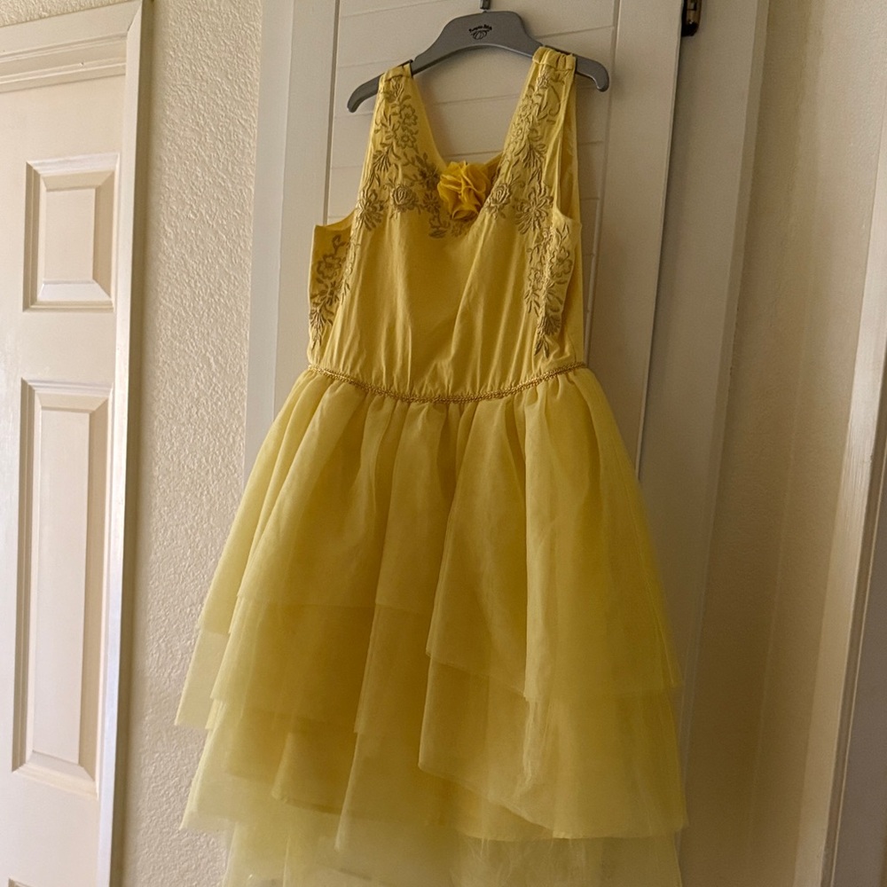 Disney Beauty and the beast Halloween costume- size large (10-12)